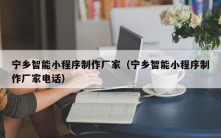 南昌宁乡智能小程序制作厂家（宁乡智能小程序制作厂家电话）