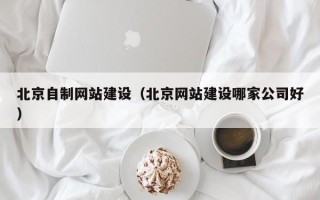 南昌北京自制网站建设（北京网站建设哪家公司好）